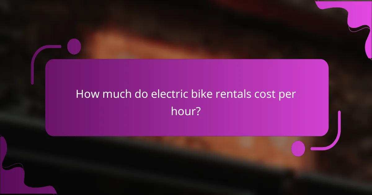 How much do electric bike rentals cost per hour?
