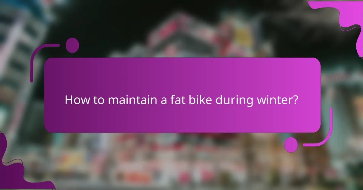 How to maintain a fat bike during winter?