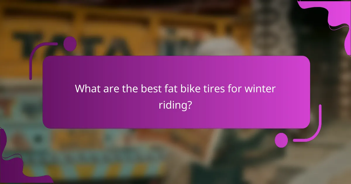 What are the best fat bike tires for winter riding?
