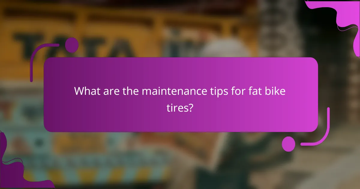 What are the maintenance tips for fat bike tires?