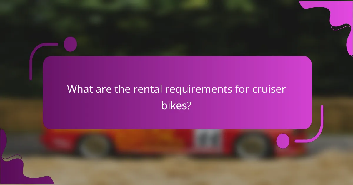 What are the rental requirements for cruiser bikes?